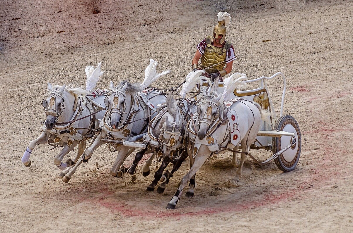 image de présentation gladiateurs