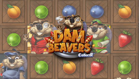 Dam Beavers