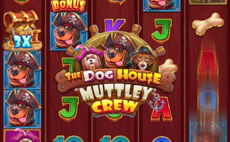 The Dog House – Muttley Crew