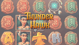 logo Thunder Hawk