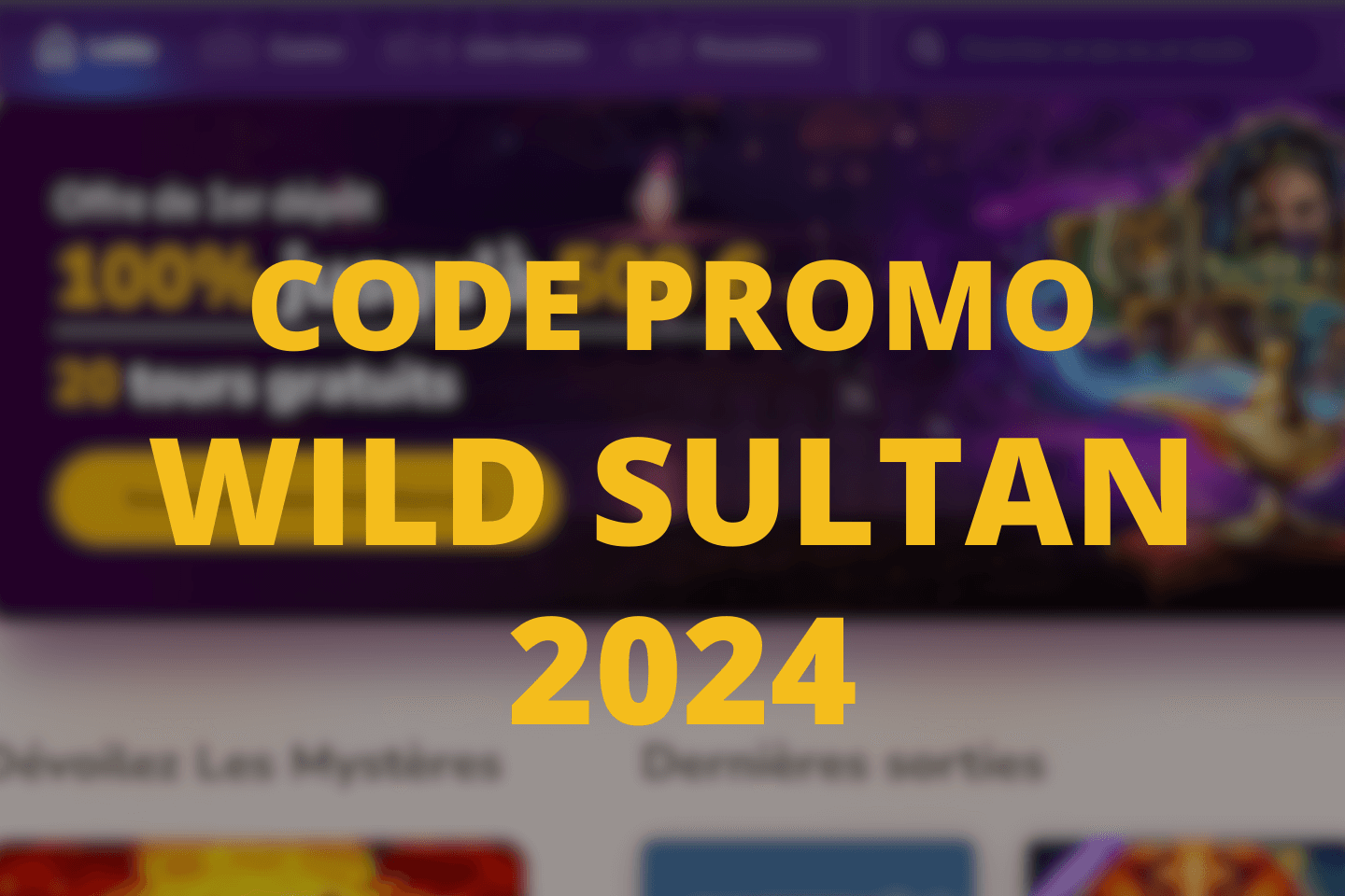 Code Promo Wild Sultan 2024